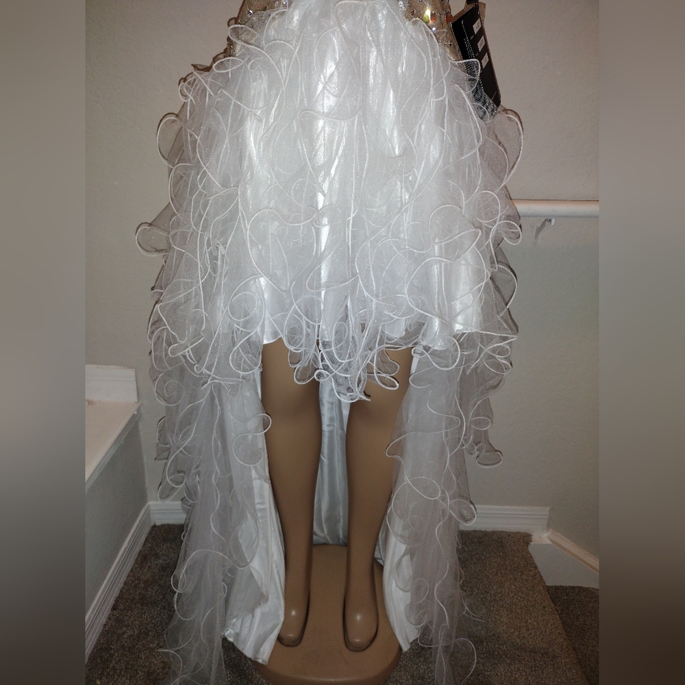 Nina Canacci Formal high low formal Gown Size 12 - Picture 10 of 11